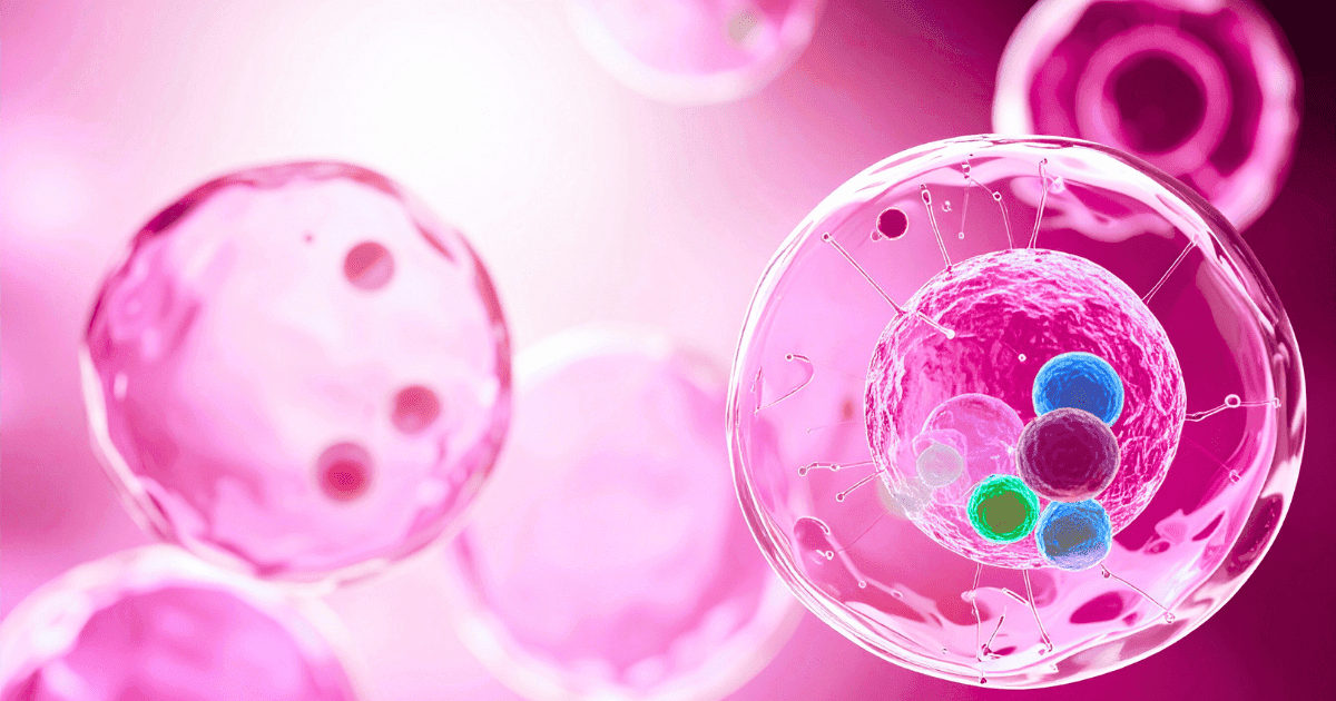 美容鍼の仕組み