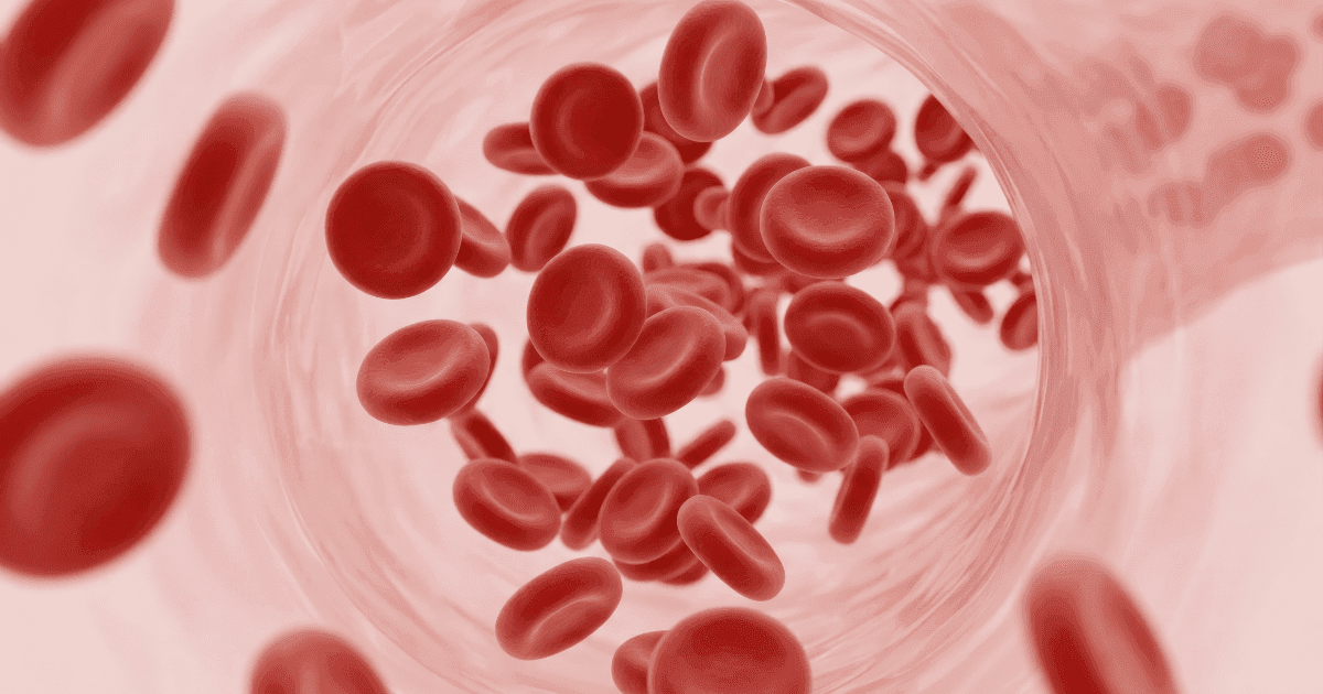 効果その2:血行促進