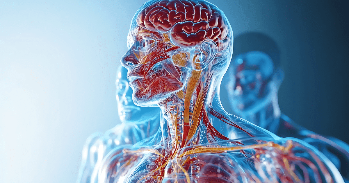 効果その4:体質改善